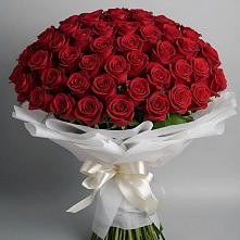 Букет 101 Красная роза Блэк Мэджик #REPLACE_PRED# Форносово