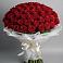 Букет 101 Красная роза Блэк Мэджик в Форносово
