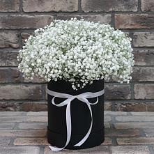 Цветочная композиция из Гипсофила в шляпной коробке #REPLACE_PRED# Форносово
